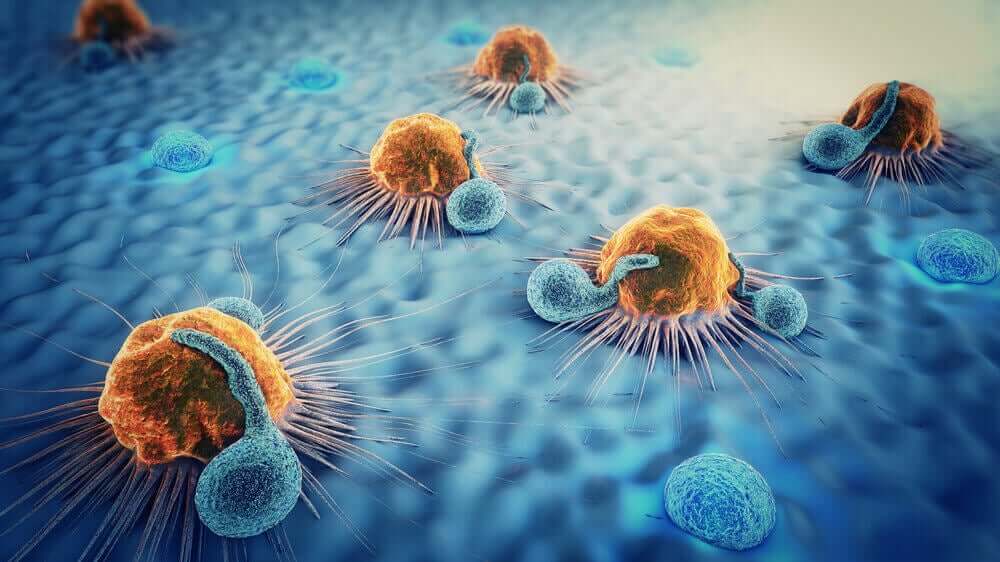 Metastasi delle cellule.