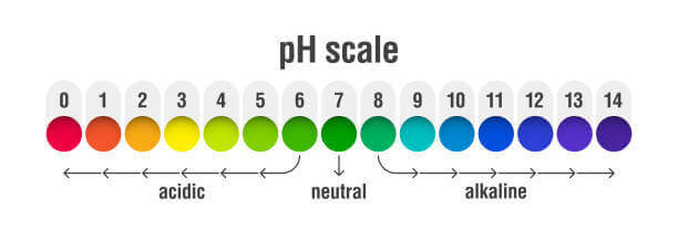 Scala del ph.