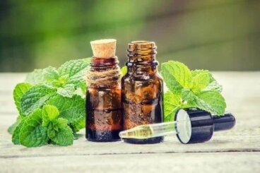 Rosmarino e ortica per la cura dei capelli