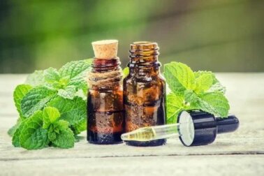 Rosmarino e ortica per la cura dei capelli