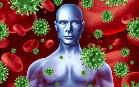 Sistema immunitario più forte contro i virus che lo attaccano.