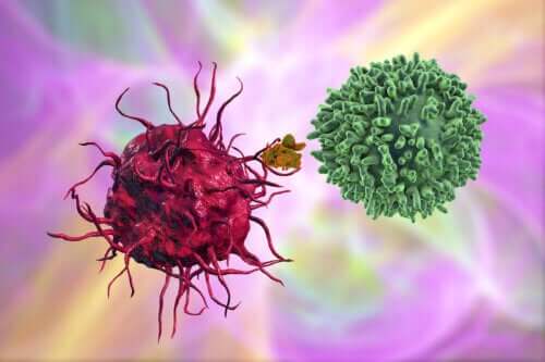 Antigeni e anticorpi: che cosa sono?