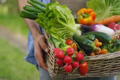 Alimenti a basso contenuto di sodio: cesta con ortaggi.