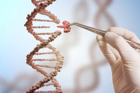 DNA e progetto genoma umano.