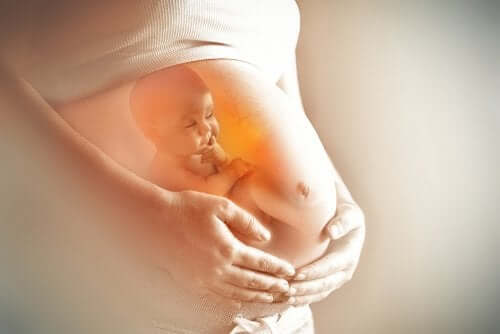 Il cervello del feto e salute intestinale della madre