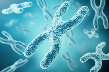 Genoma umano e DNA.