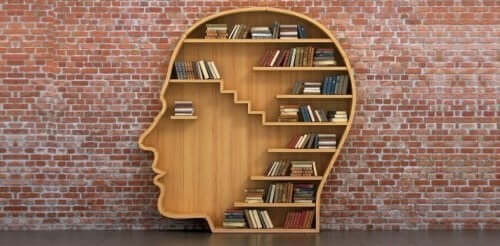 Biblioterapia e libreria a forma di testa. 