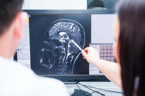 Sistema neuroendocrino: che cos'è?