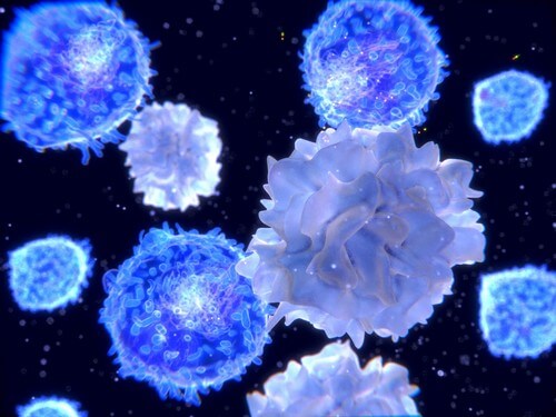 Risposta immunitaria.