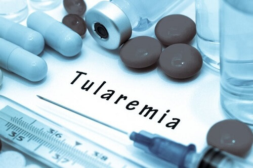 Tularemia: cause, sintomi e trattamento