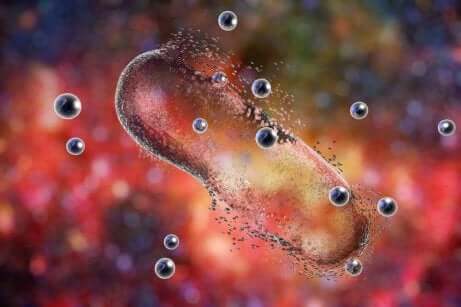 Antibiotici e batterio.