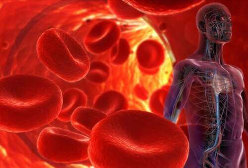 Come funziona la coagulazione del sangue.