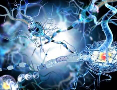 Connessioni neurali.
