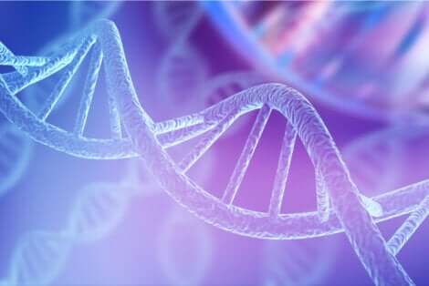 Elica del dna umano.