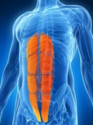 Strappo muscolare addominale: cos'è?