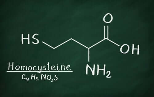Molecola di omocisteina.
