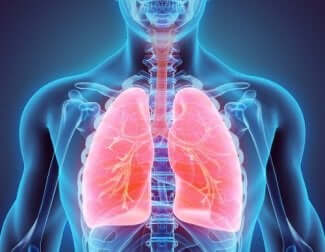 Radiografia dei polmoni.