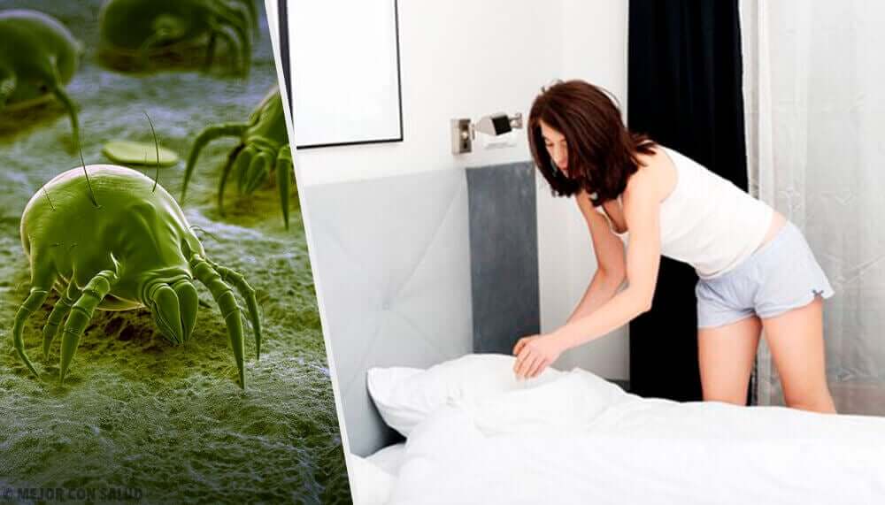 Ridurre gli acari casa.