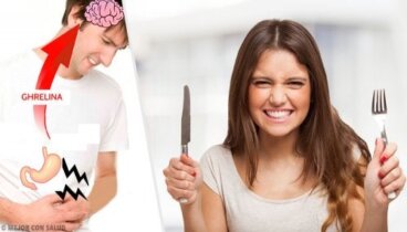 Grelina o ormone della fame: funzioni e meccanismo d'azione