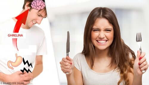 Grelina o ormone della fame: funzioni e meccanismo d'azione