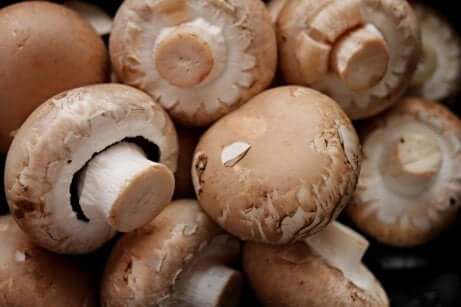 Funghi champignon.