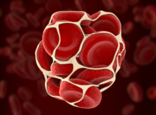 Coagulazione del sangue.