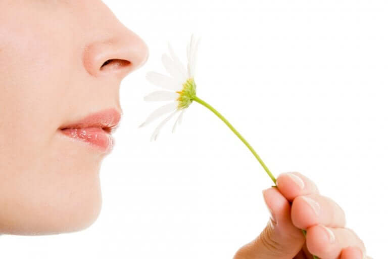 Iperosmia, eccessiva sensibilità agli odori