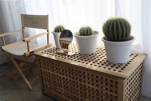 Elementi decorativi con le piante.