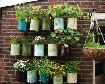 Coltivare piante sul balcone: vasi appesi a una parete.