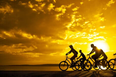Persone in bicicletta al tramonto.