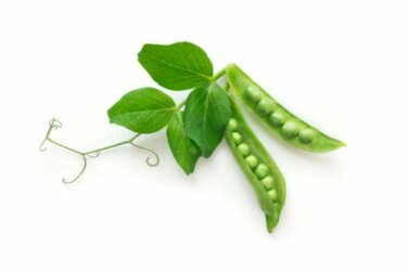 Piselli: valori nutrizionali e benefici