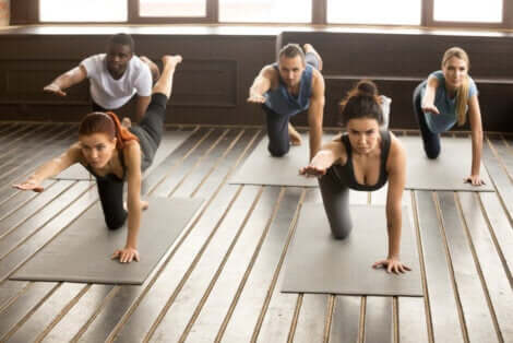 Ragazzi posizione bird dog.