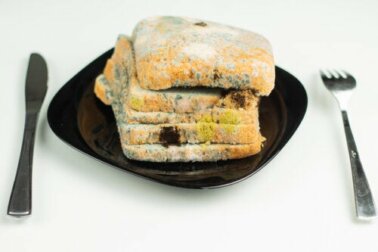 Togliere la muffa dal cibo e mangiare il resto?