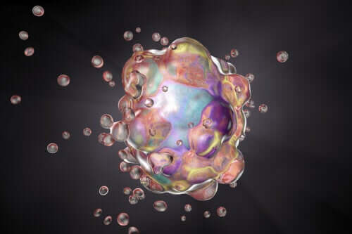 Apoptosi delle cellule.