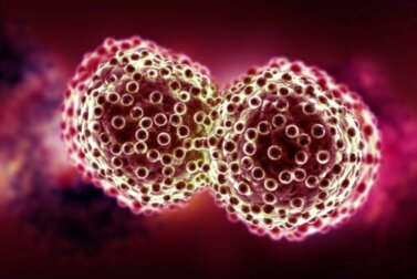 Le basi genetiche del cancro: cosa c'è da sapere?