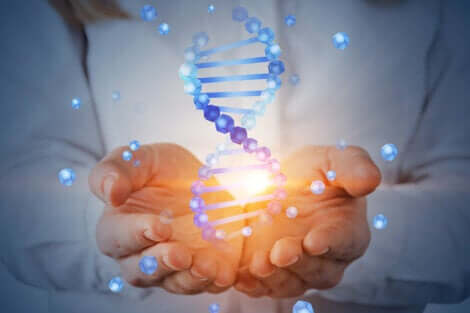 Le basi genetiche del cancro: catena di DNA.