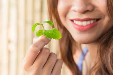 La menta per eliminare la alitosi.