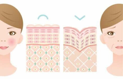 Collagene per le articolazioni e formazione di rughe.