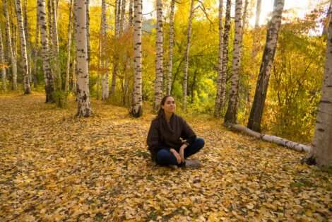 Meditazione nel bosco.