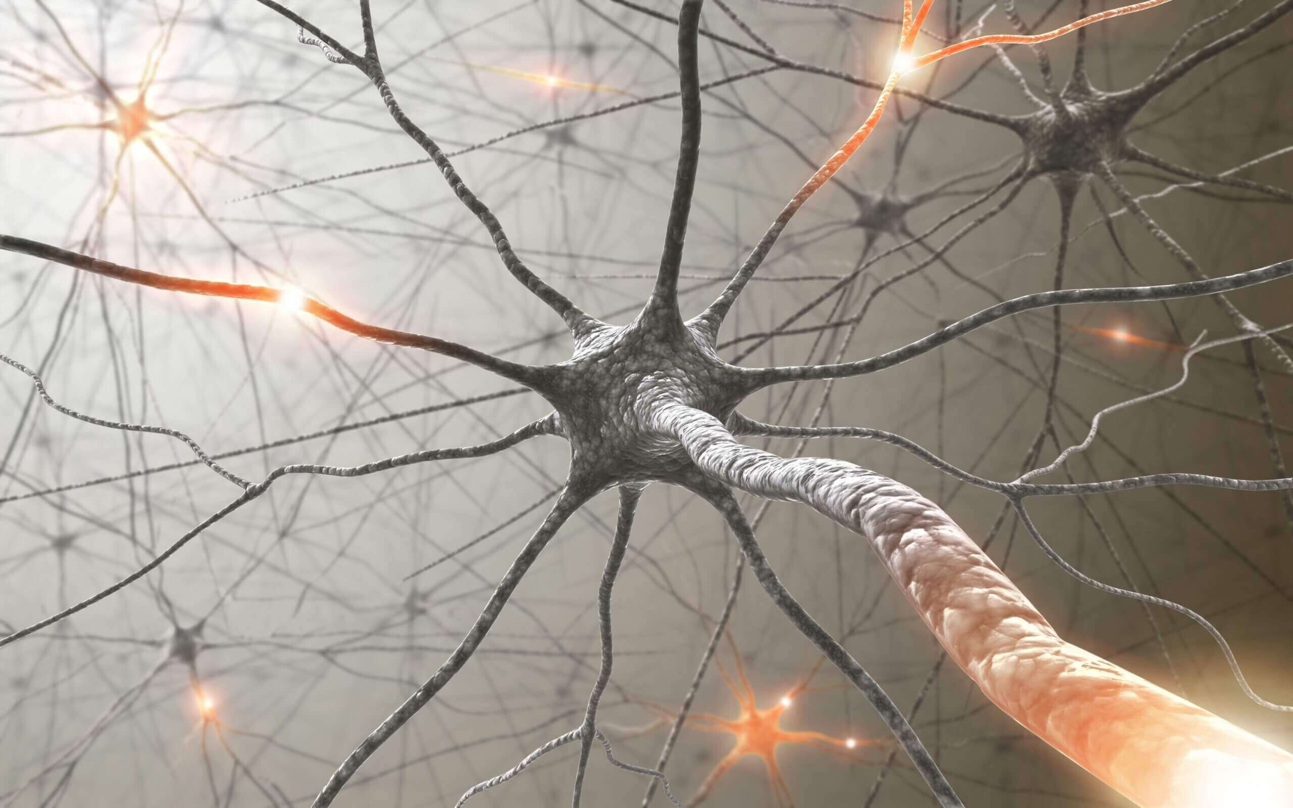 Neuroni dentro nervo.