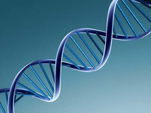 Catena di dna.