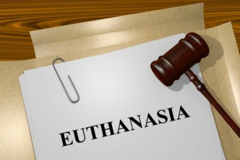 Tipi di eutanasia: cosa bisogna sapere