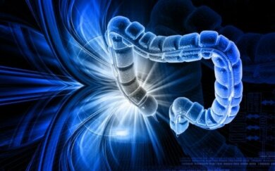 Intestino permeabile: possibili cause