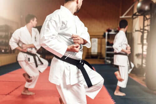 Karate e taekwondo: quali differenze?