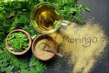 Olio di moringa: caratteristiche e usi