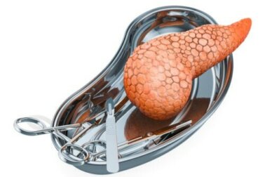Trapianto di pancreas: indicazioni e rischi