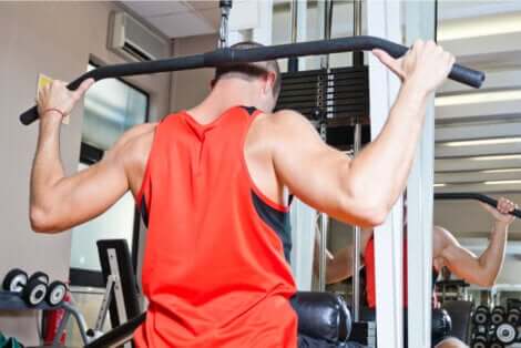 tipi di presa e impugnatura prona alla lat machine.