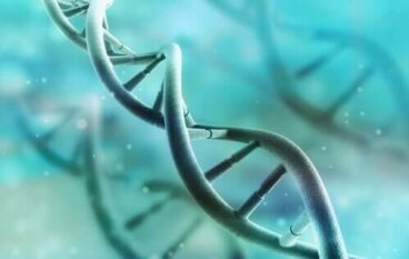 Il DNA: scoperta, struttura e funzioni