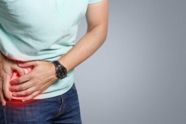 L'appendice: cos'è e quali funzioni svolge?