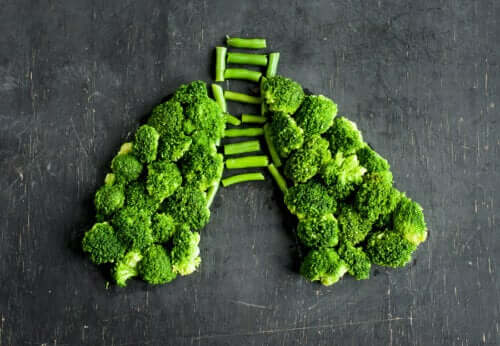 Infiammazione polmonare: consigli alimentari